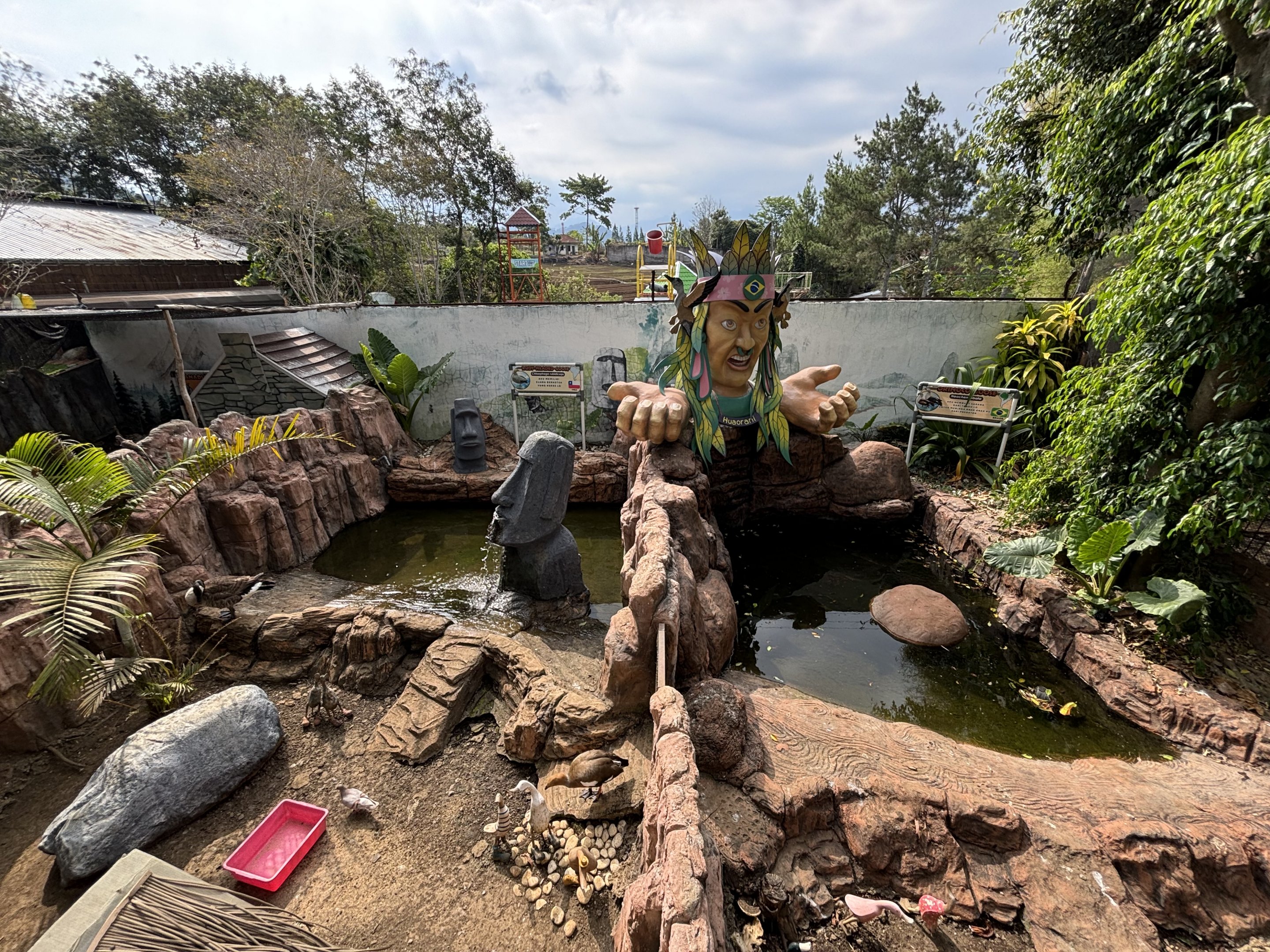 Ruddy-headed Goose + Orinoco Goose Exhibits