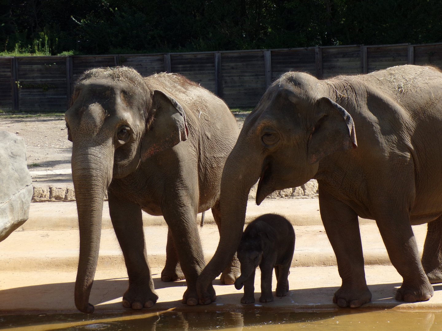 Rudy, Sunny and Rita