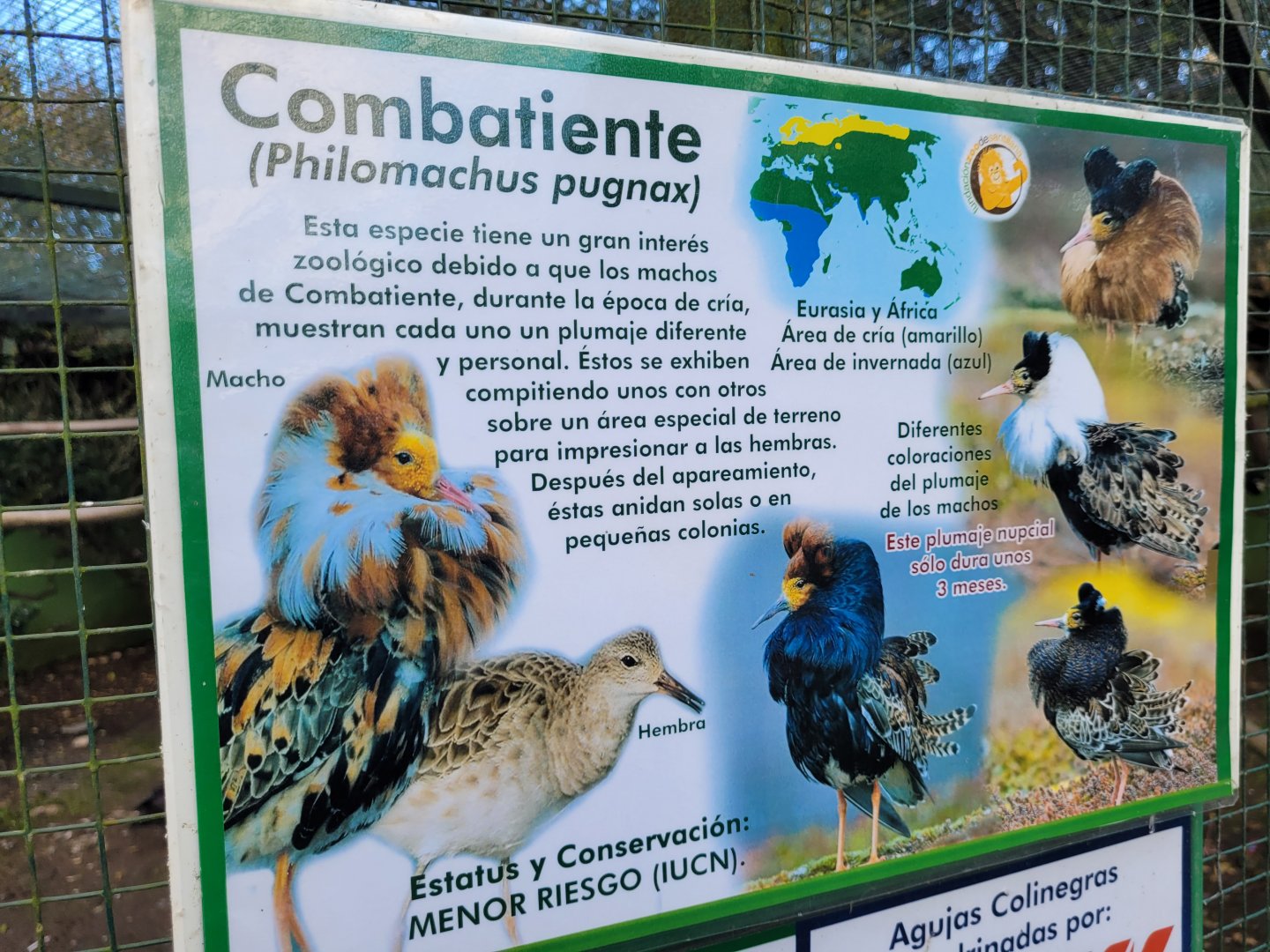 Ruff sign -Zoo de Santillana del Mar (2023)