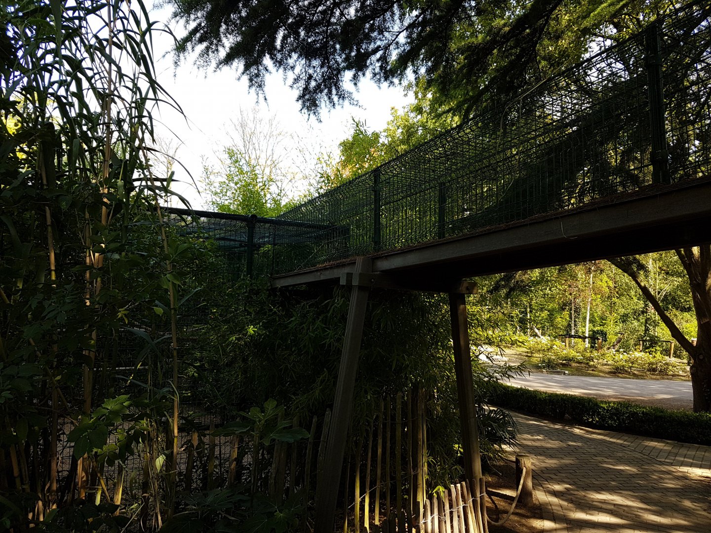 Ruffed lemur bridge