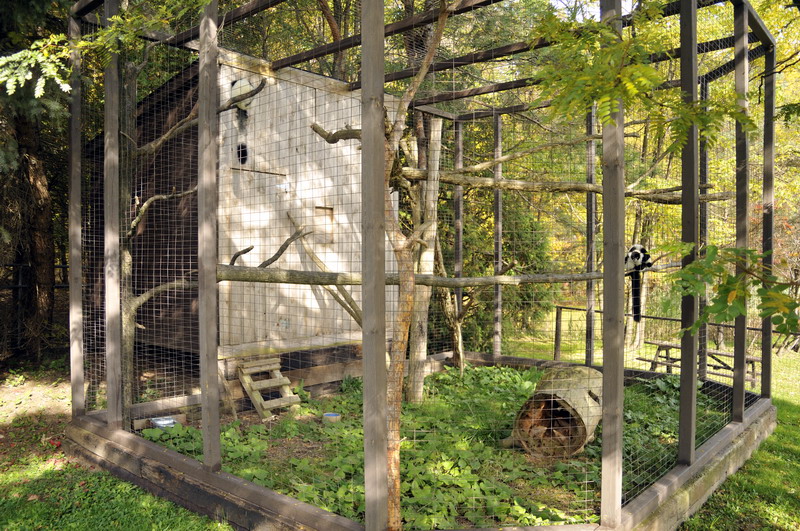 Ruffed lemur cage at Twin Vally Zoo