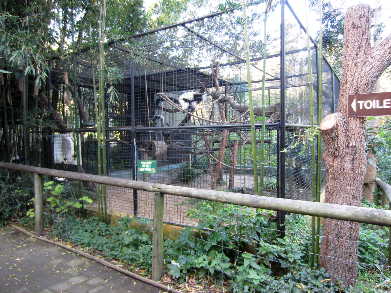 Ruffed Lemur cage