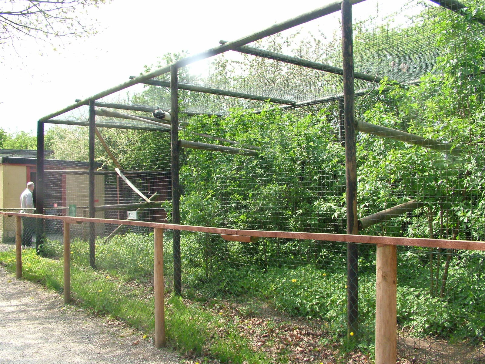 Ruffed Lemur enclosure at Wetlands WP 25/04/09
