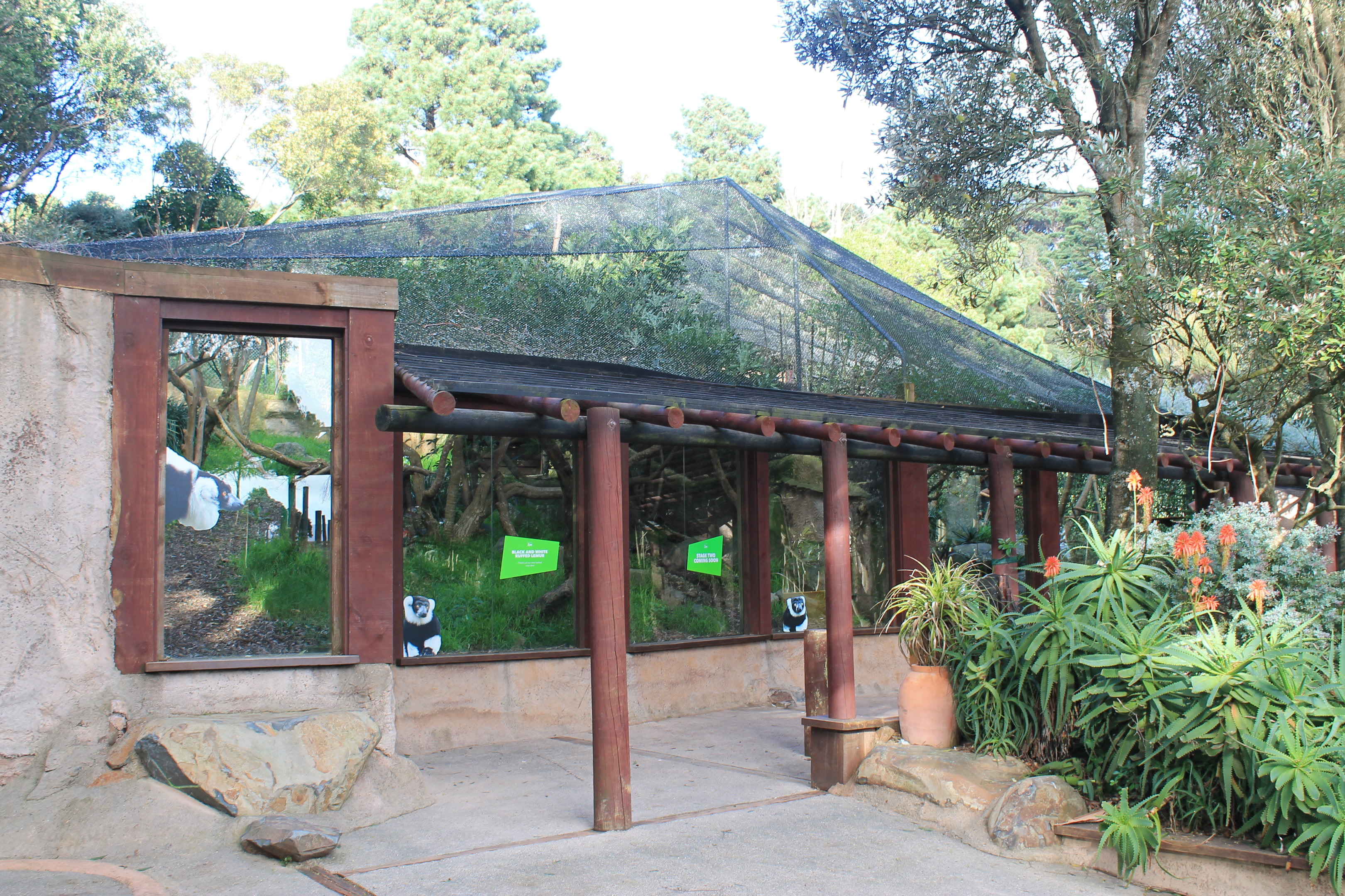 Ruffed Lemur enclosure, exterior