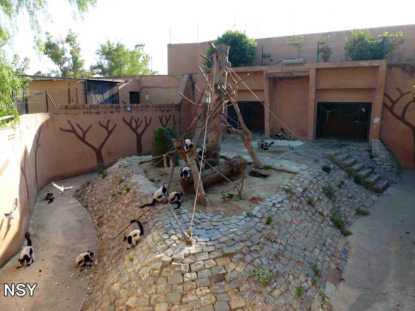 Ruffed lemur enclosure, July 2013.