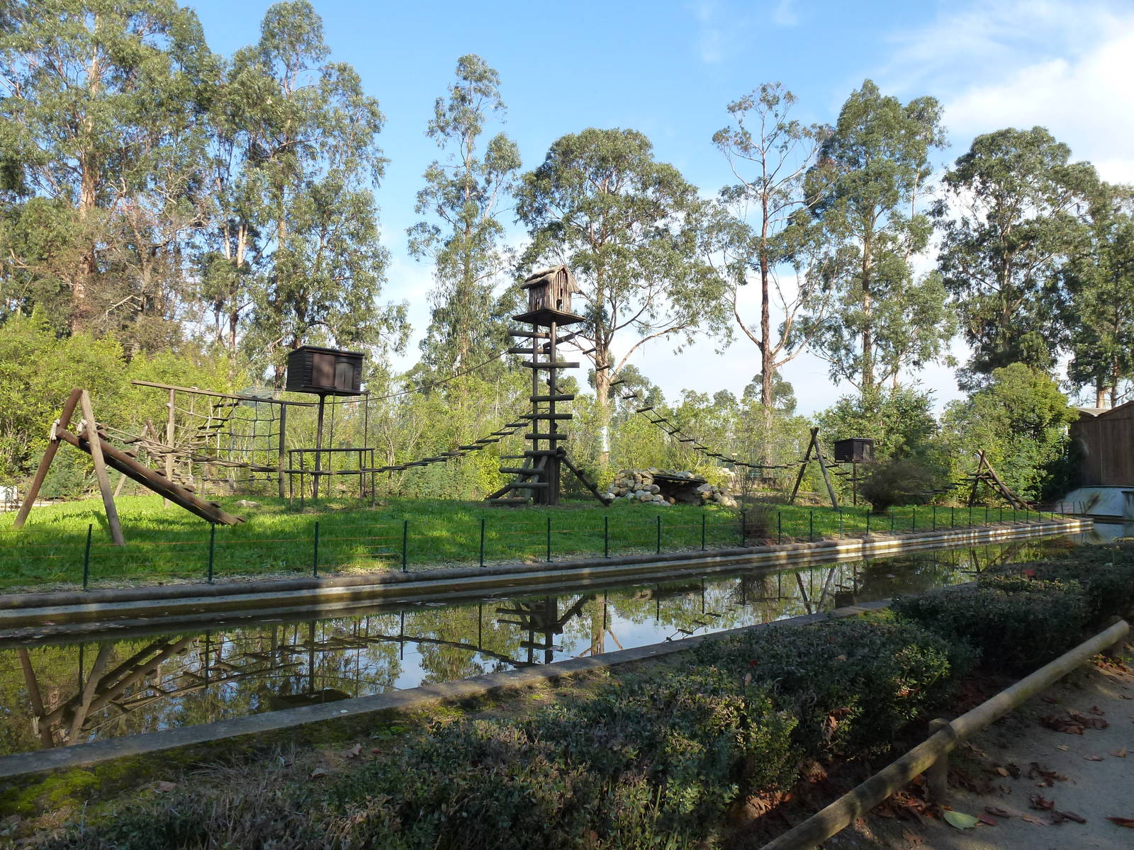 Ruffed lemur enclosure, November 2013.