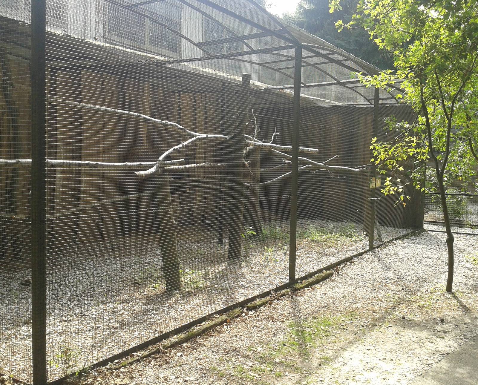 Ruffed lemur enclosure