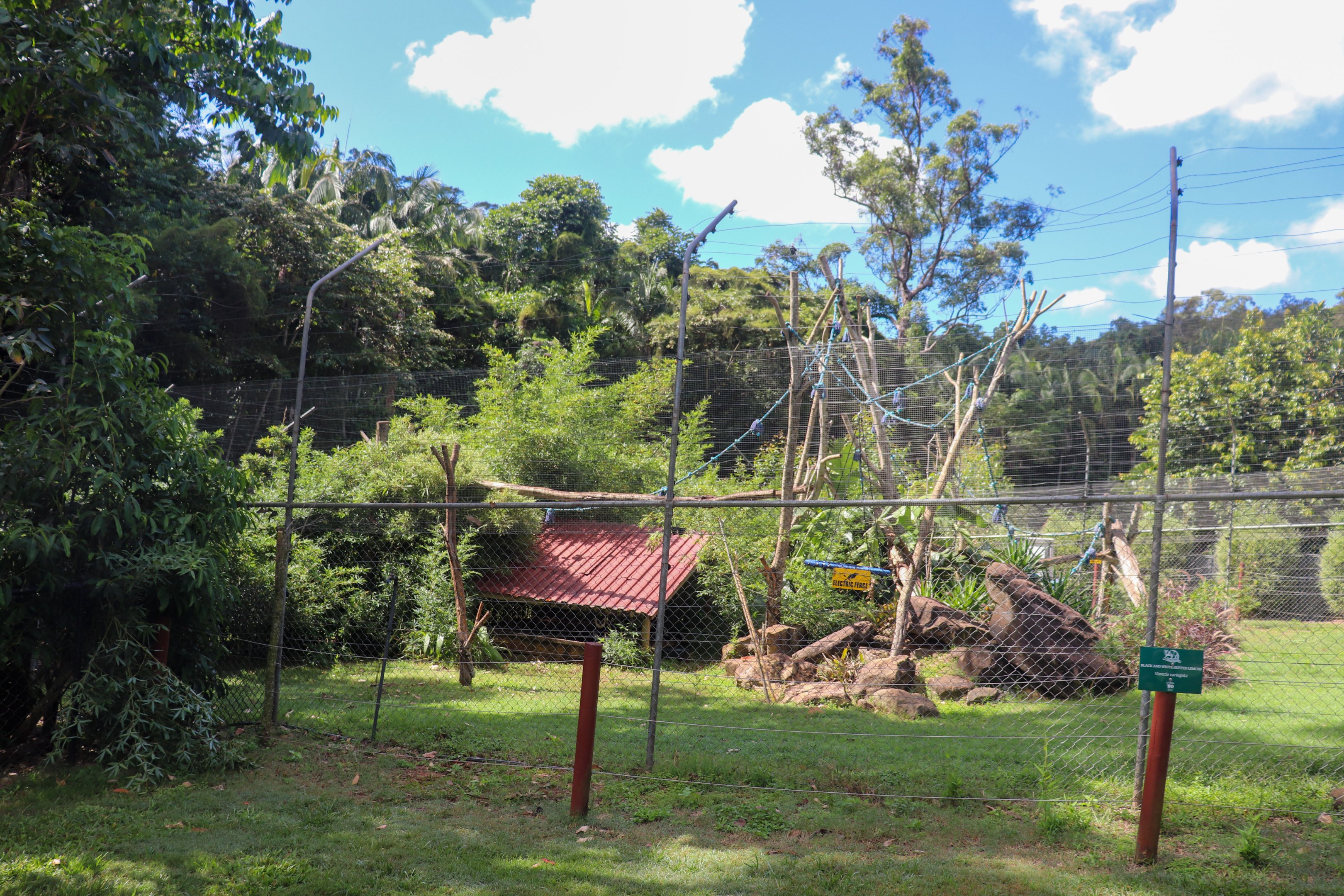 Ruffed Lemur Enclosure