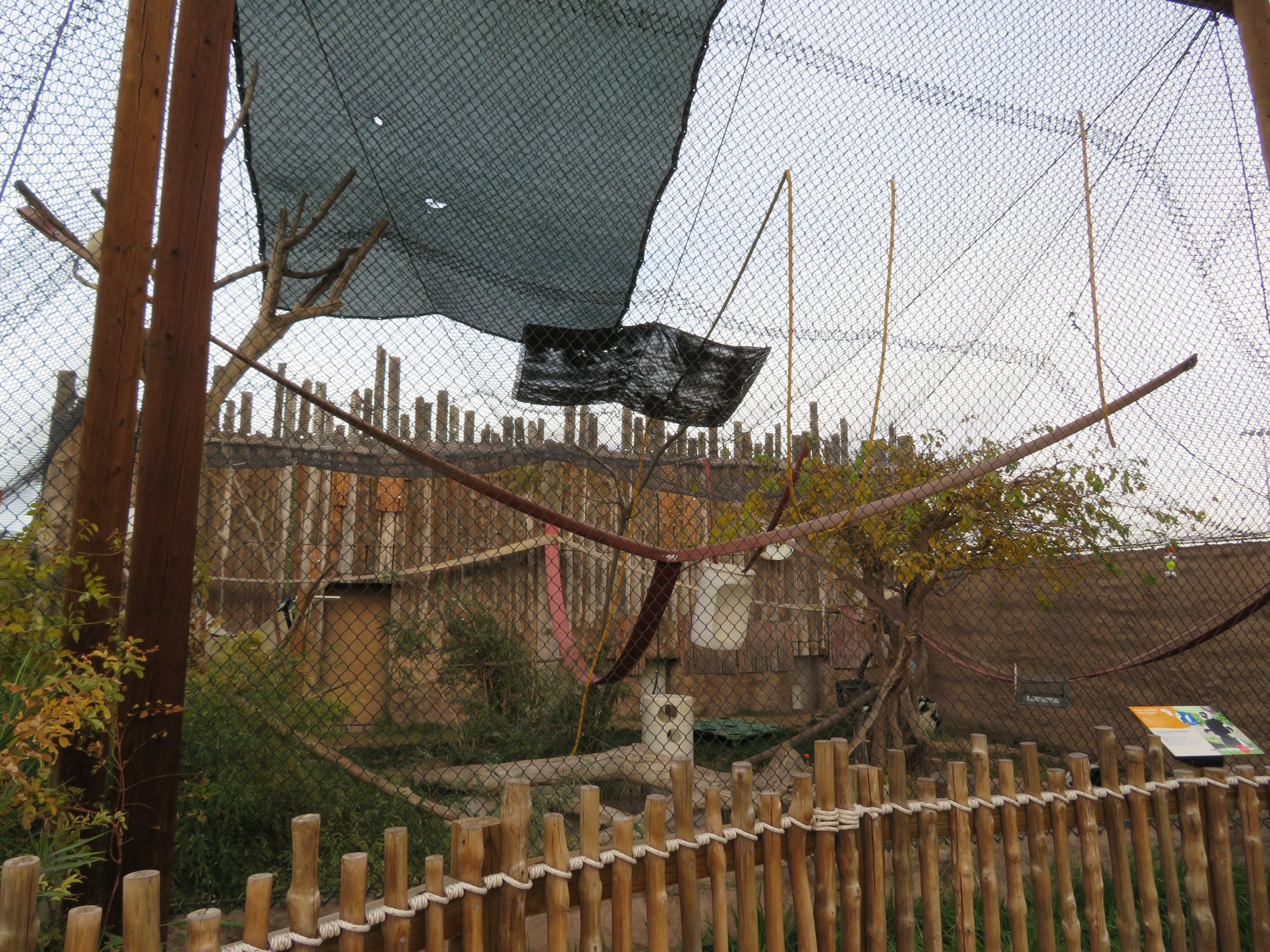 Ruffed Lemur Enclosure