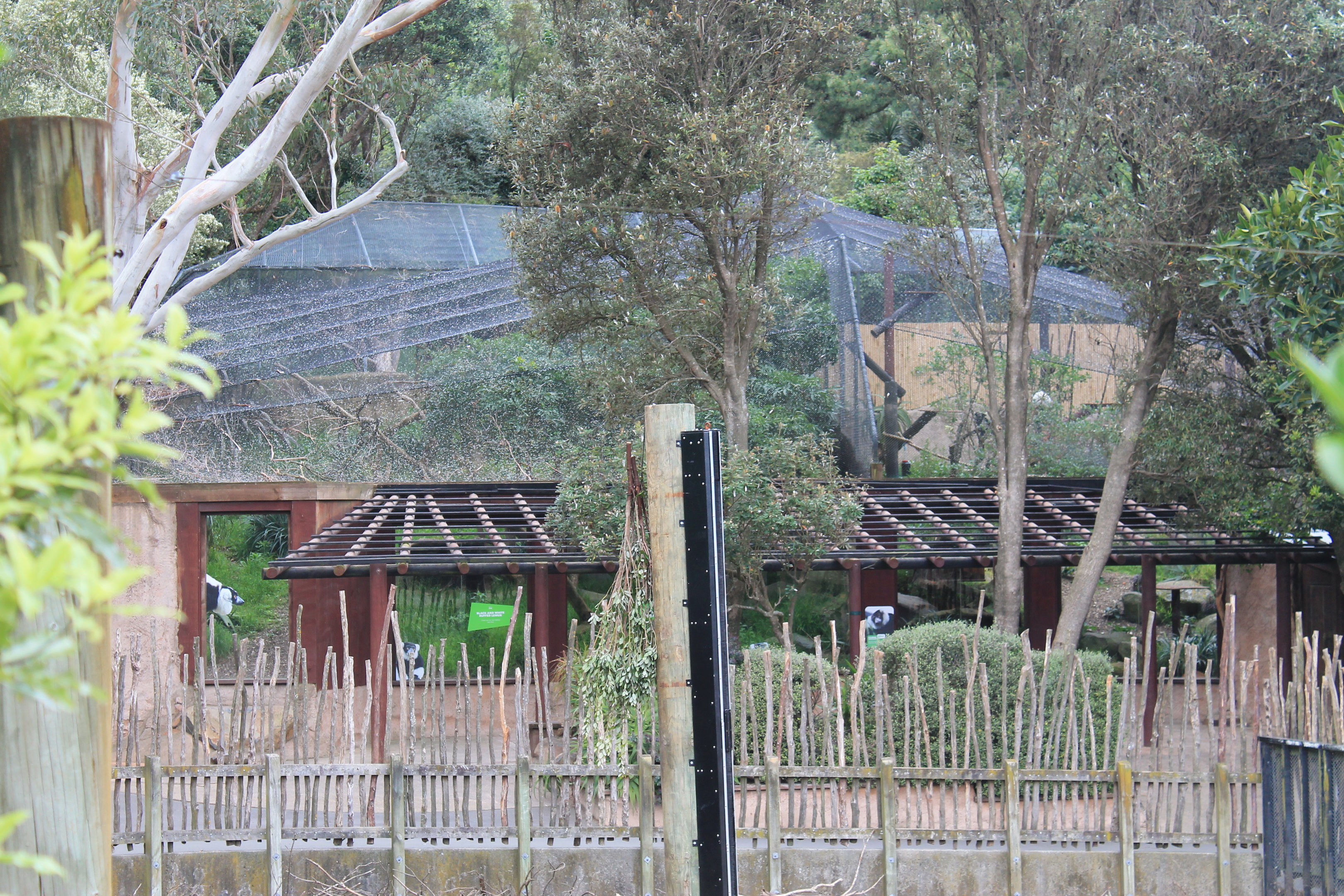 Ruffed Lemur enclosure