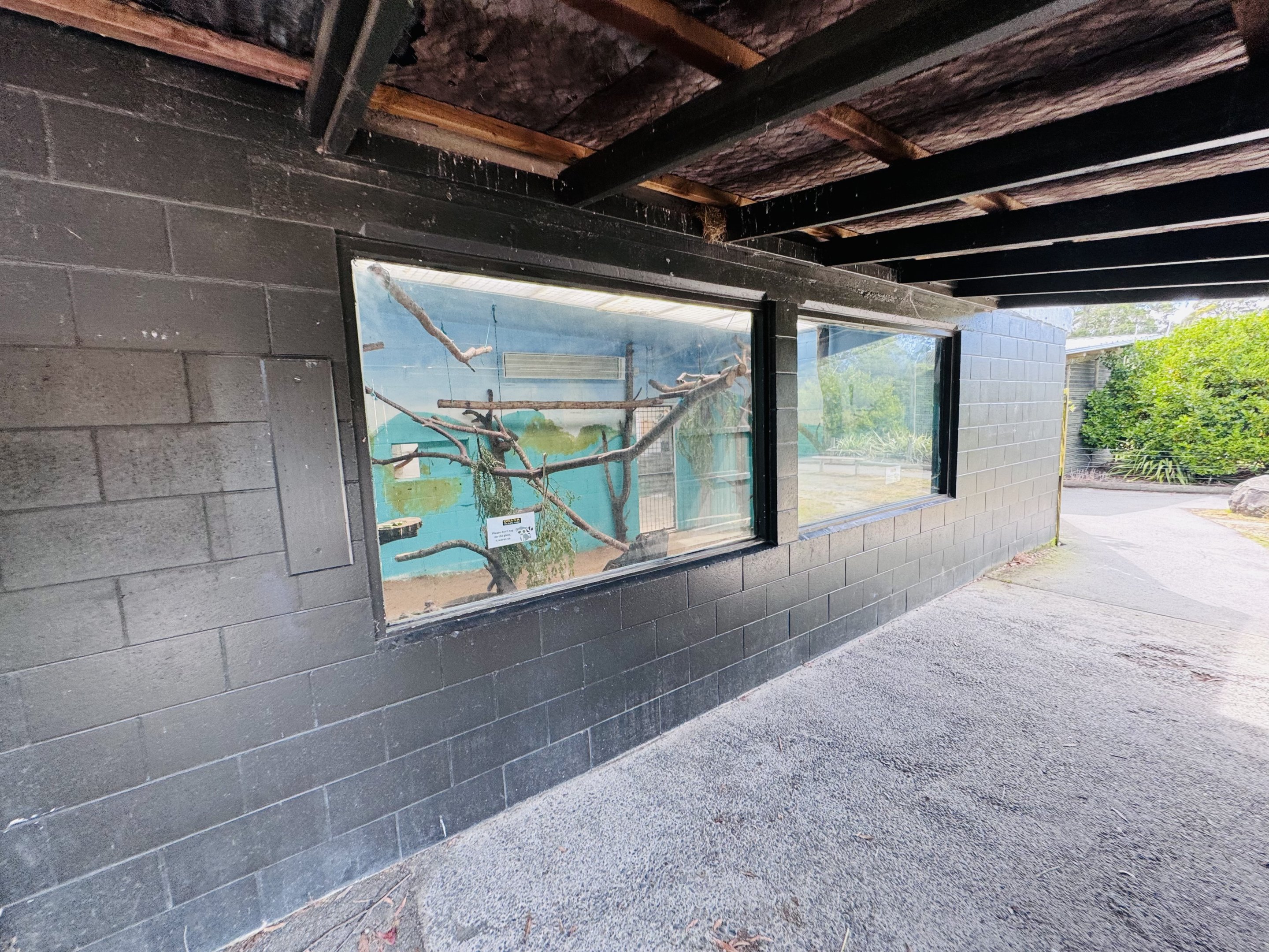 Ruffed lemur enclosure