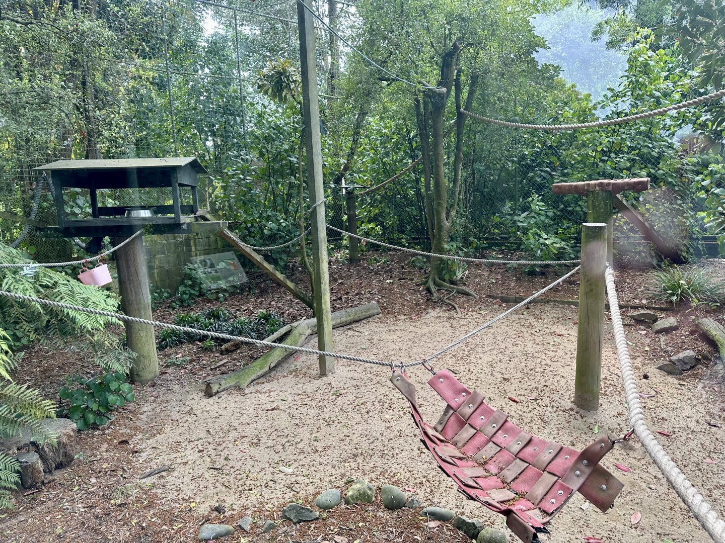 Ruffed Lemur Exhibit