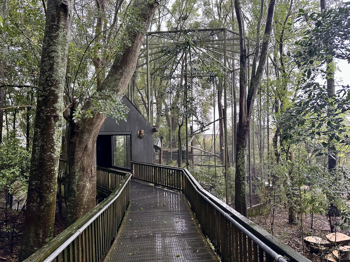 Ruffed Lemur Exhibit