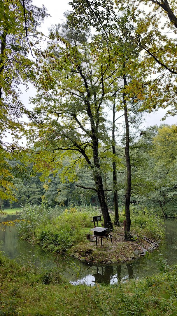 Ruffed lemur exhibit