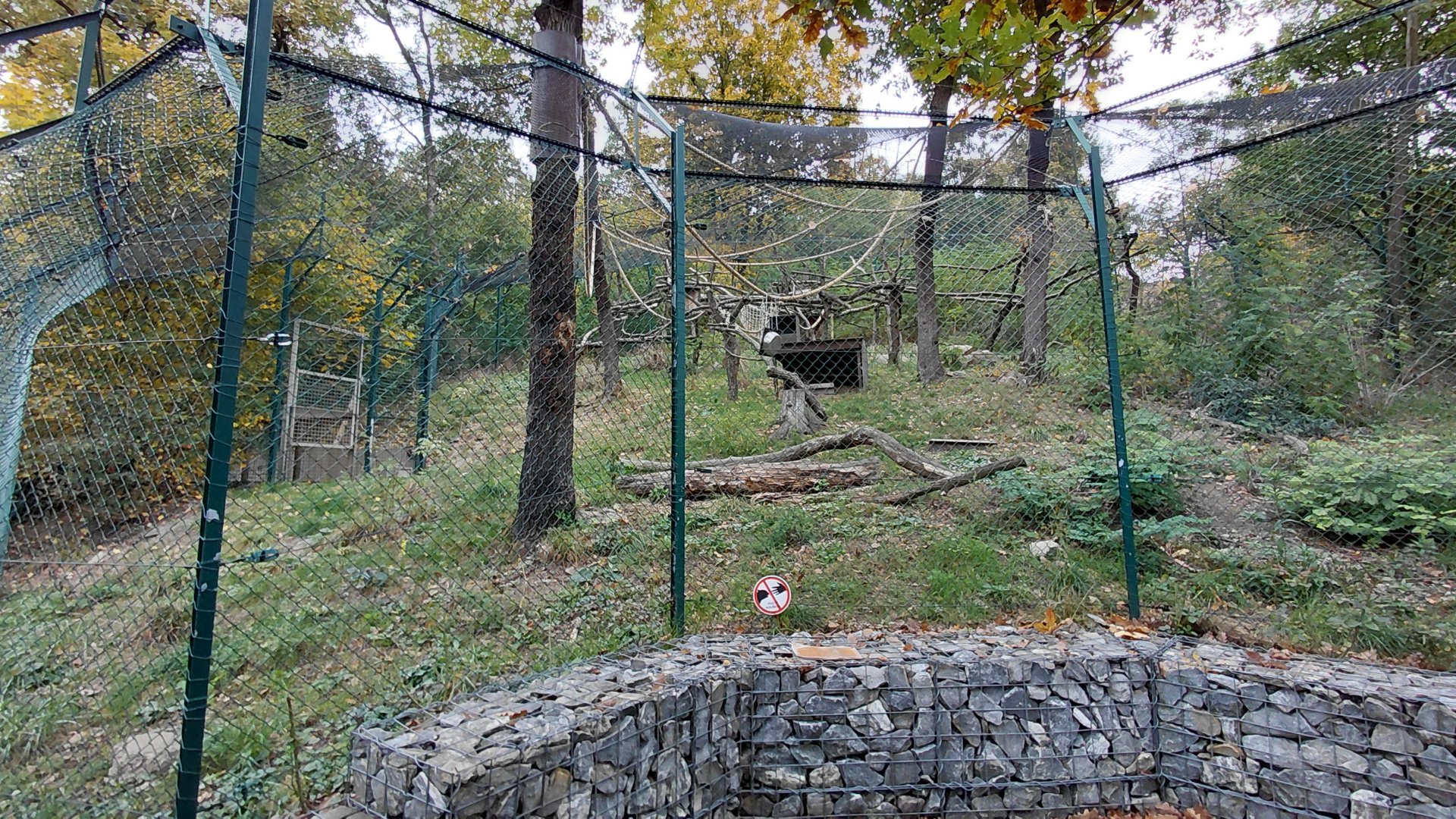 Ruffed lemur exhibit