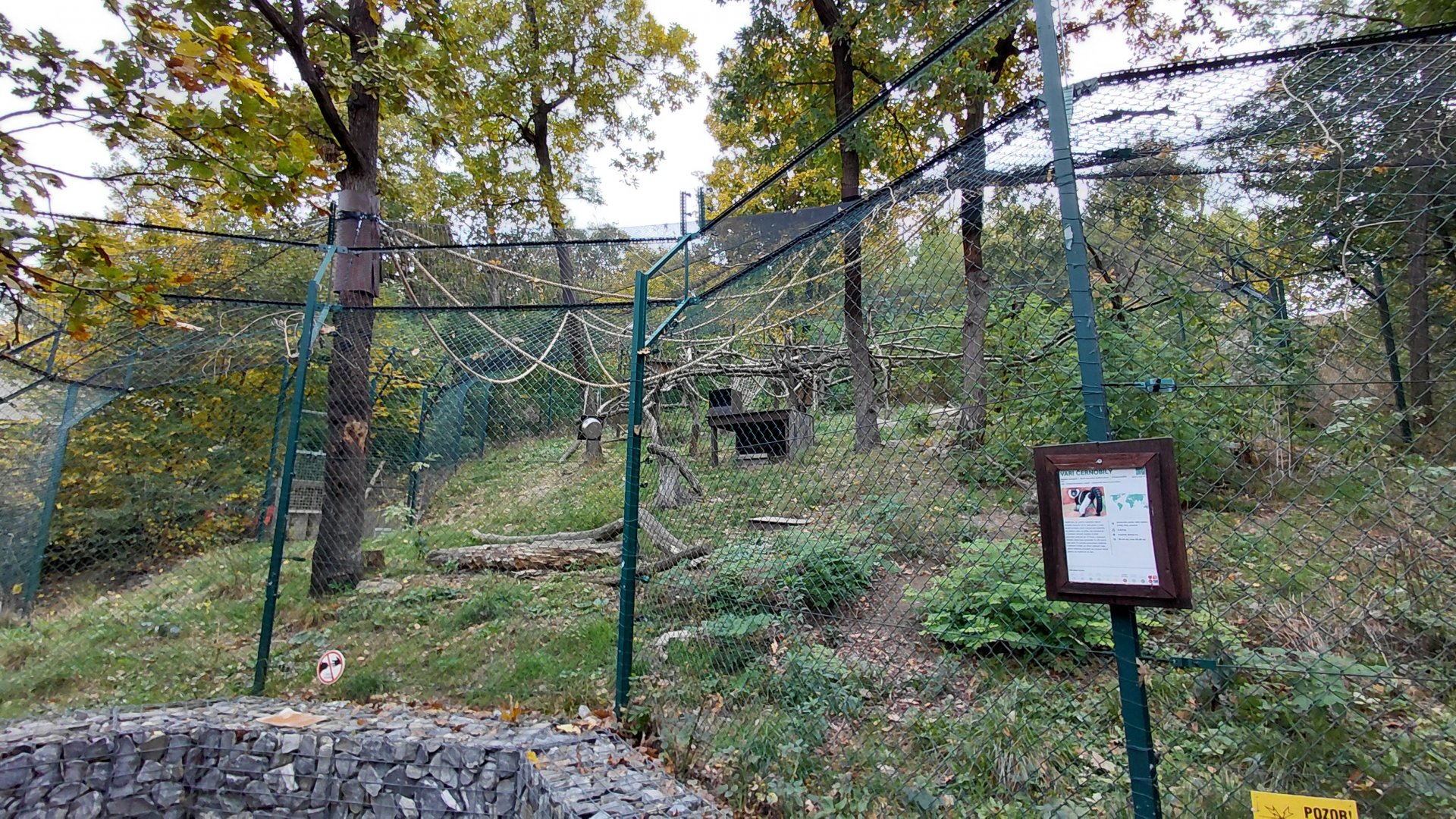 Ruffed lemur exhibit