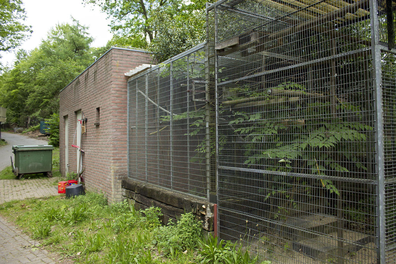 Ruffed lemur house, 5/14/14