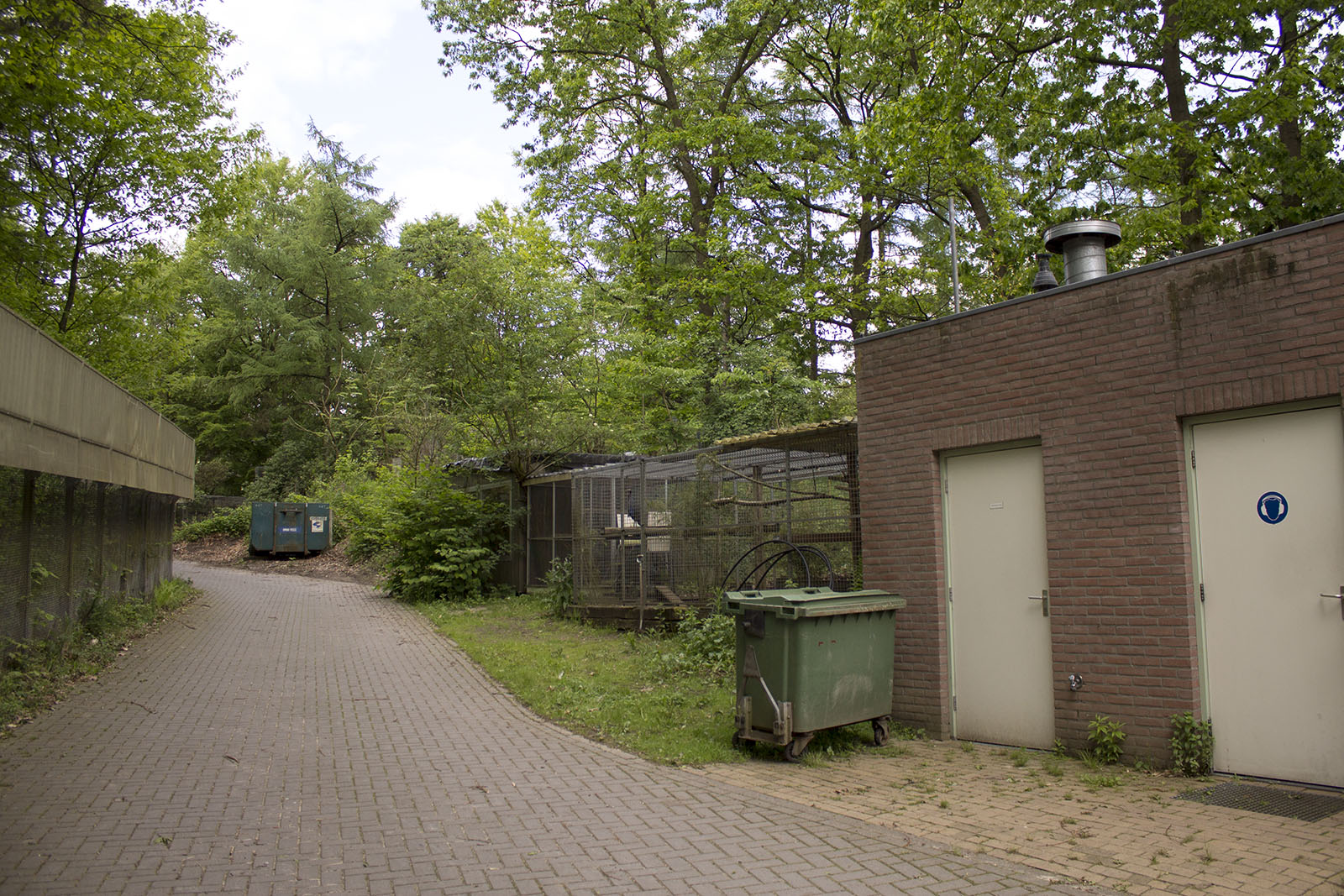 Ruffed lemur house, 5/14/14