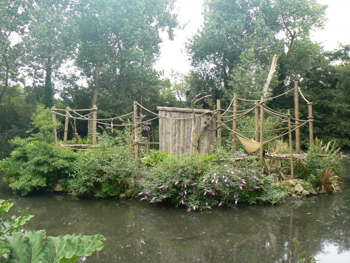 Ruffed Lemur Island - 11 July 2018