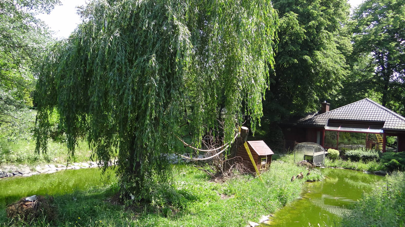 Ruffed Lemur island and house
