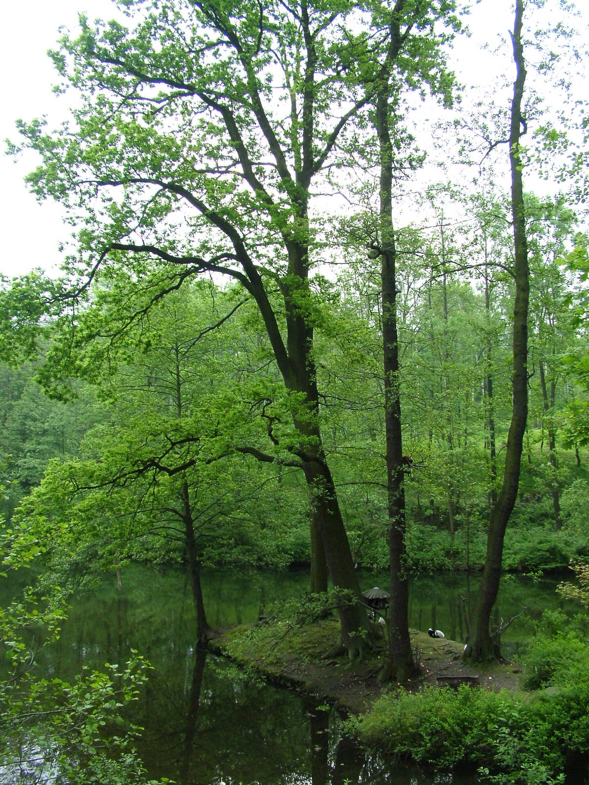 Ruffed Lemur island at Ostrava, 29/05/10