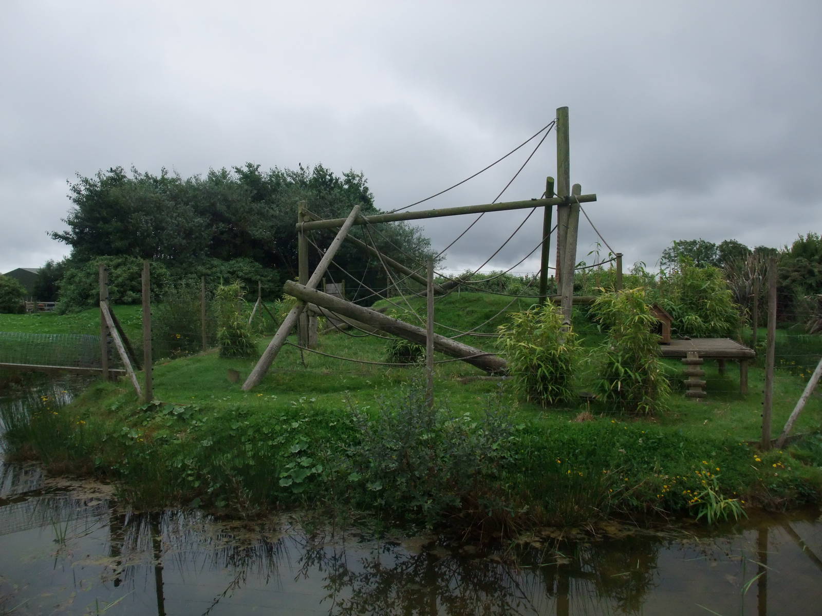 Ruffed Lemur Islands at Folly Farm, 01/08/11