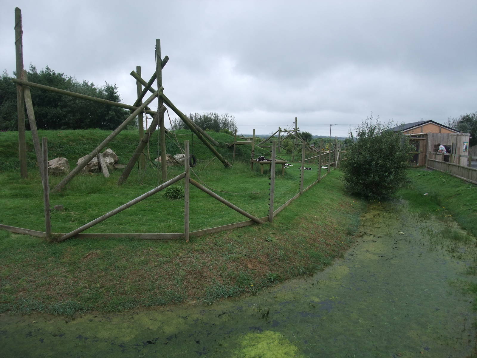 Ruffed Lemur Islands at Folly Farm, 01/08/11