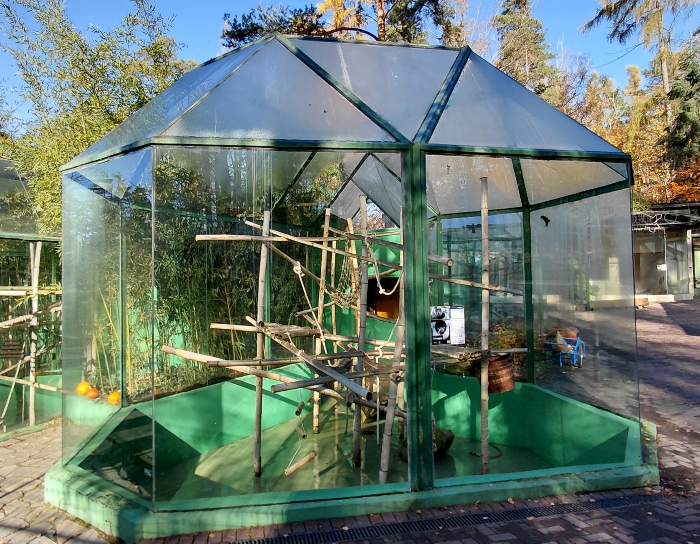 Ruffed lemur outdoor exhibit