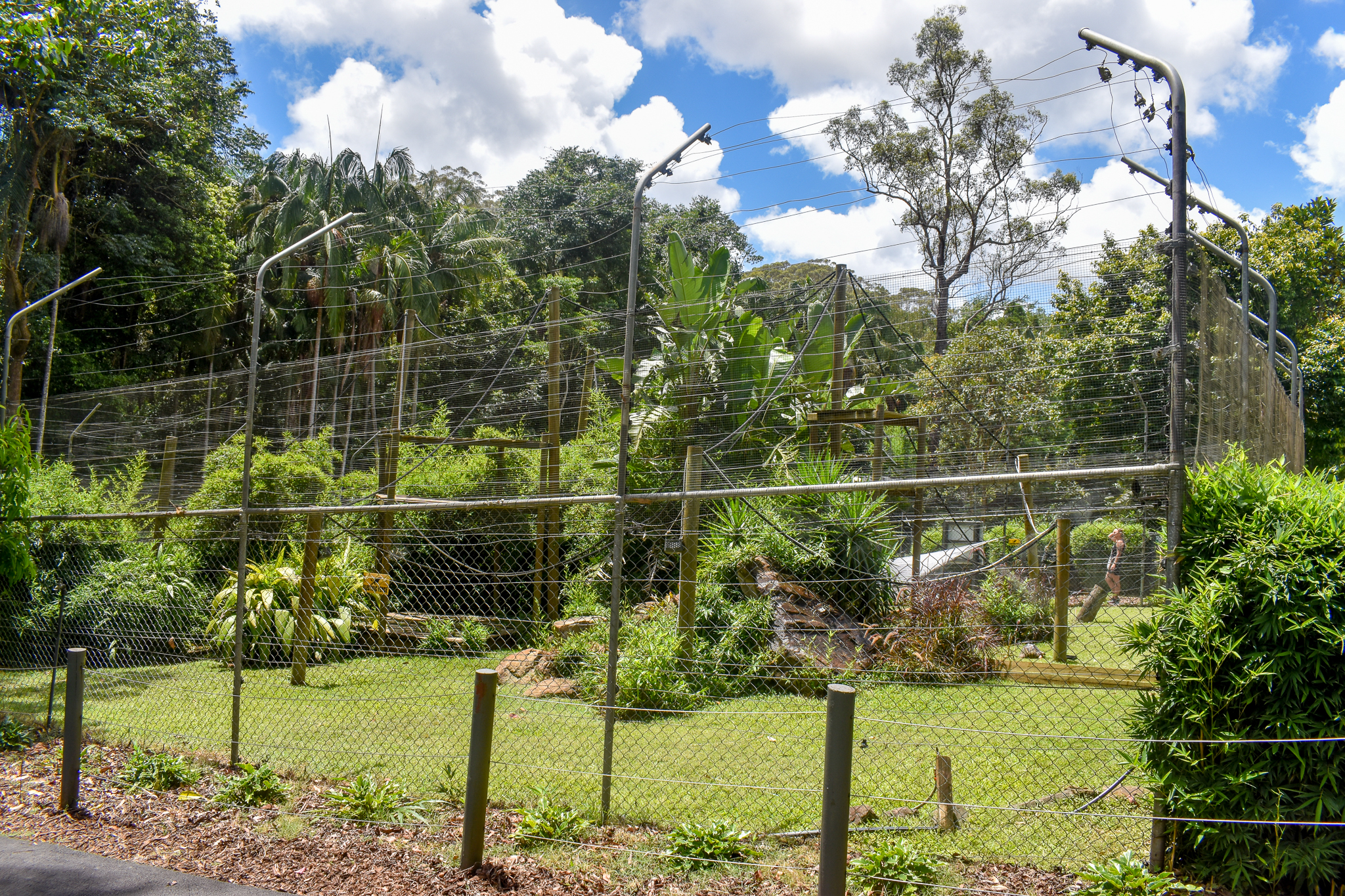 Ruffed Lemur/Radiated Tortoise Enclosure