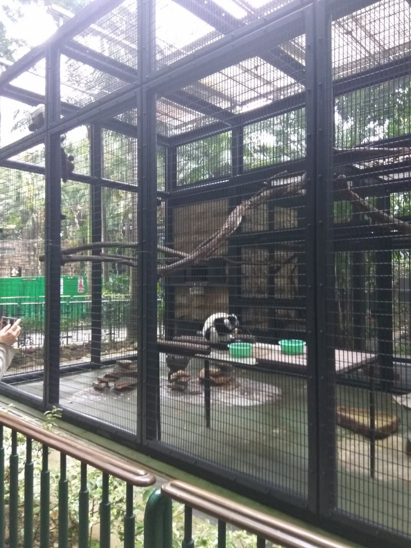 Ruffed lemur+Two-toed sloth(not seen) exhibit