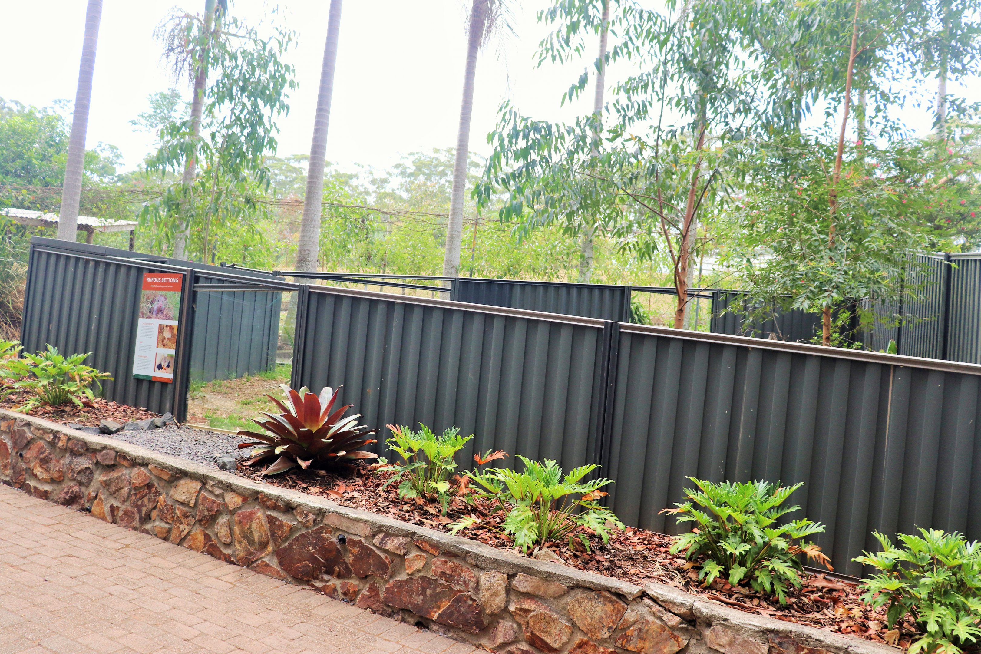 Rufous Bettong Enclosure