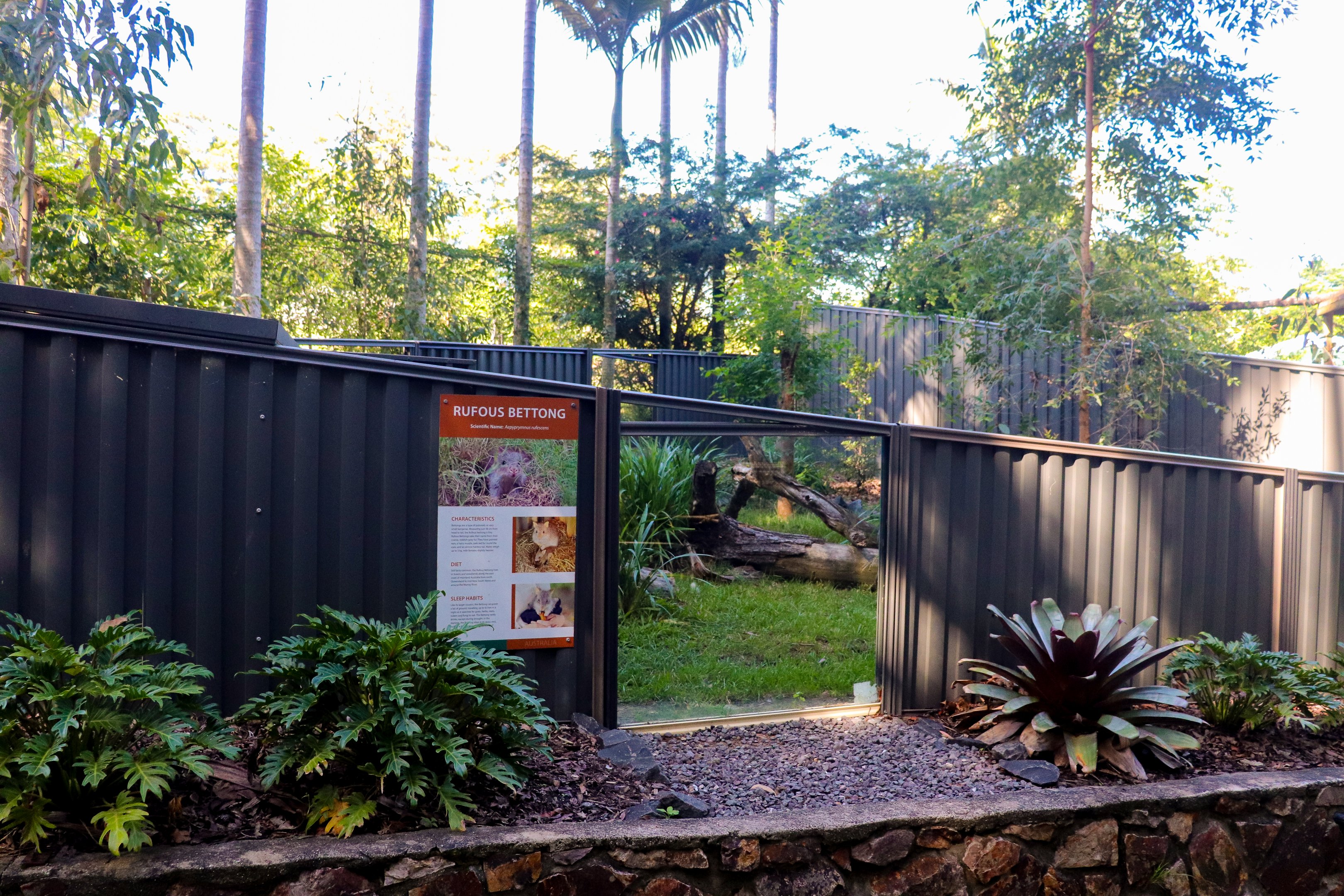 Rufous Bettong Enclosure