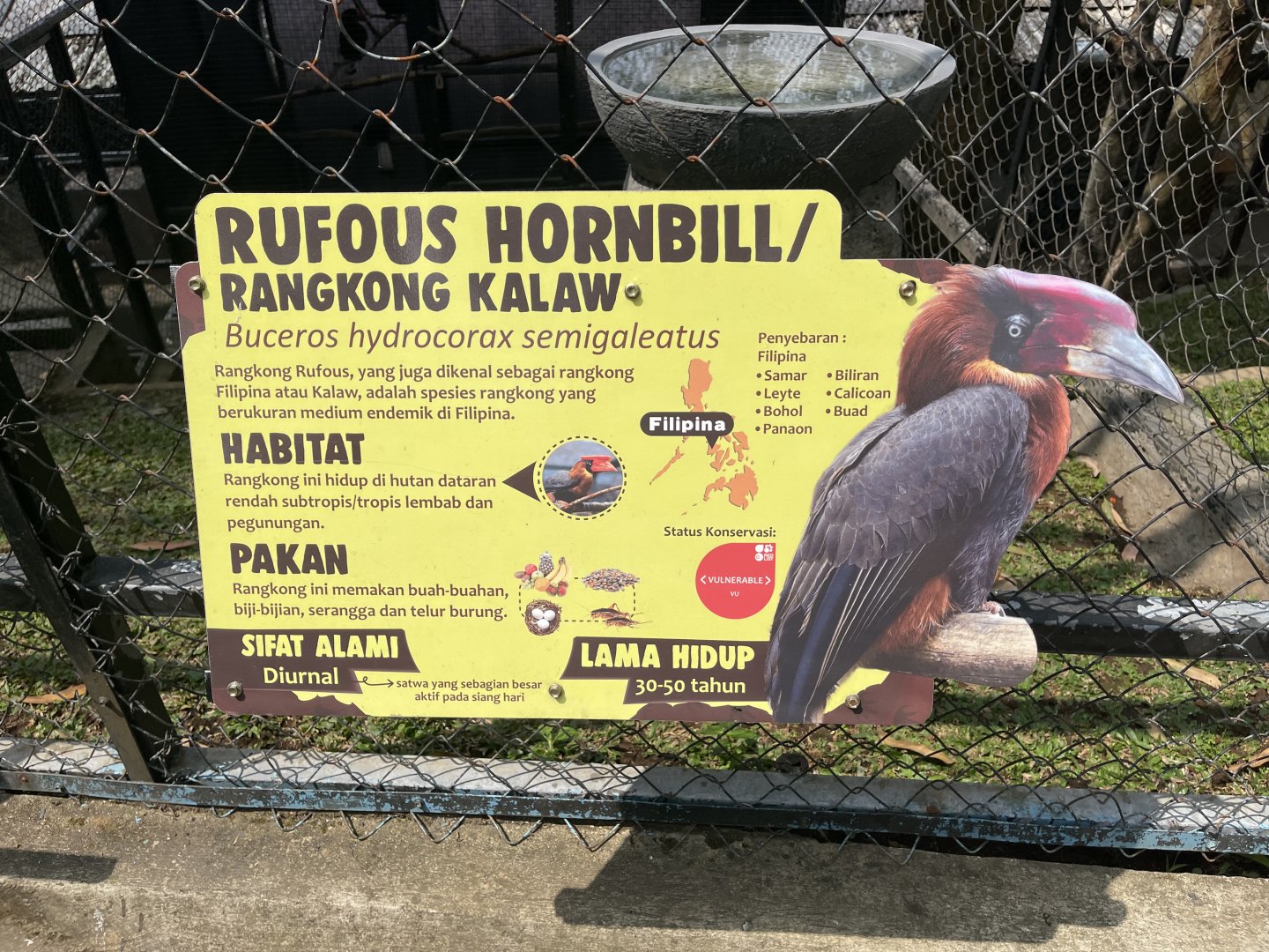 rufous hornbill signage (inaccurate/mislabeled)
