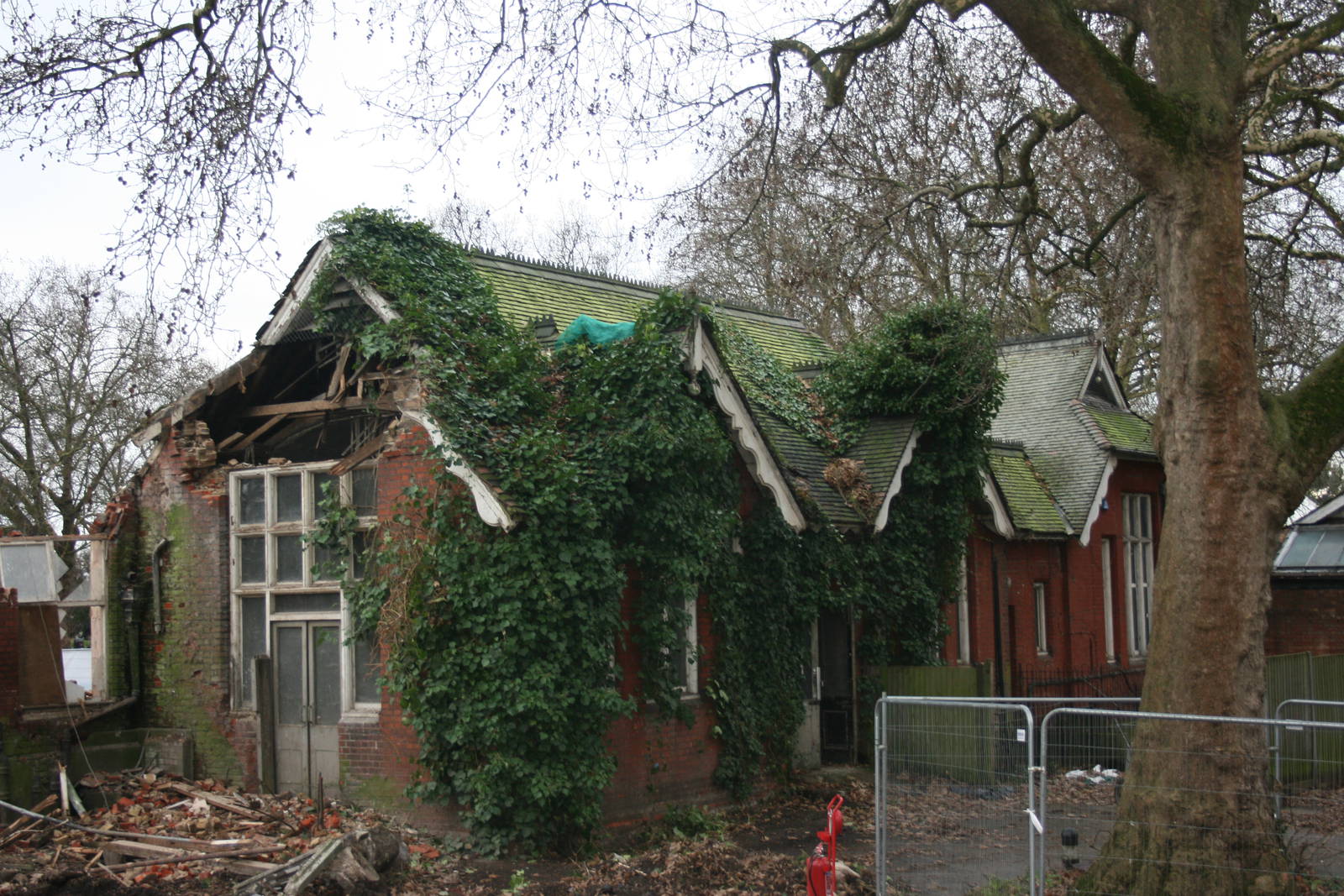 Ruins of the old Parrot House; London Zoo; 16th January 2011