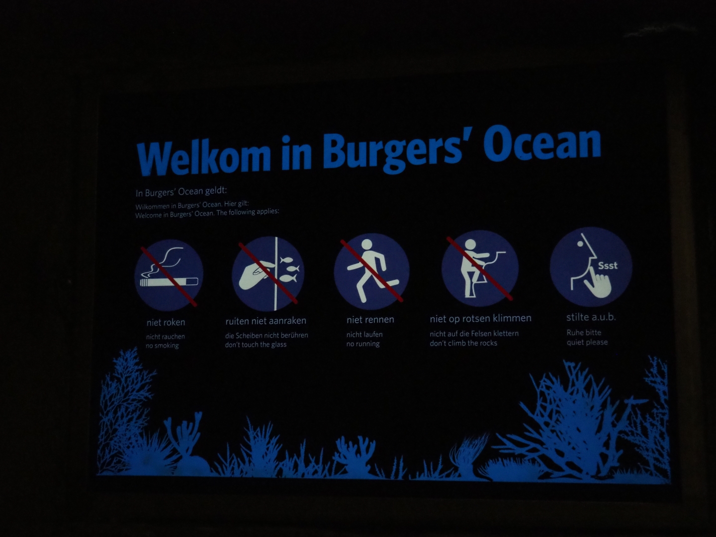 Rules in the Ocean sign (Sep 16th, 2018)