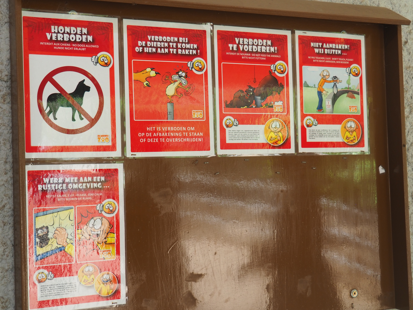 Rules in the tropical house signs, 2019-08-04