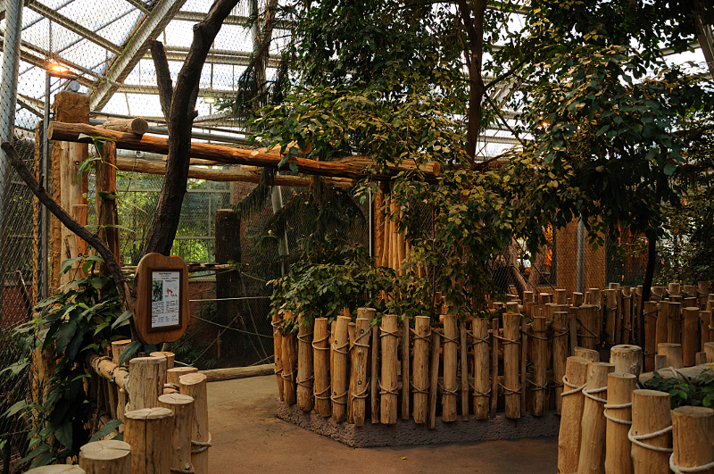 Rumah Hutan at Dortmund