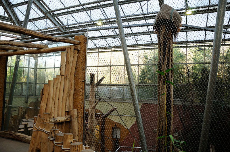 Rumah Hutan at Dortmund