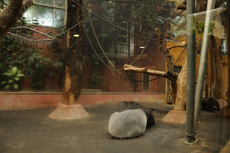 Rumah Hutan at Dortmund