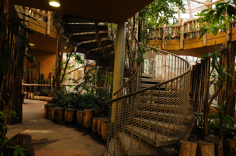 Rumah Hutan at Dortmund