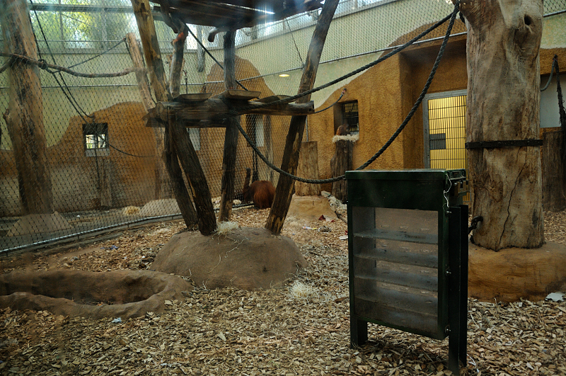 Rumah Hutan at Dortmund