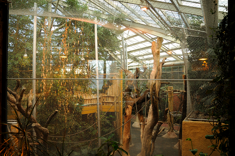 Rumah Hutan at Dortmund