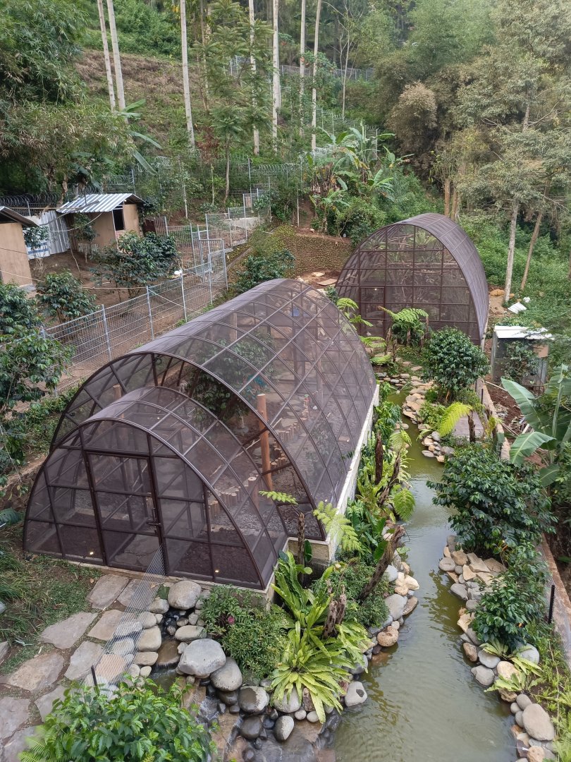 Rumpun Chanaya - Mini Zoo