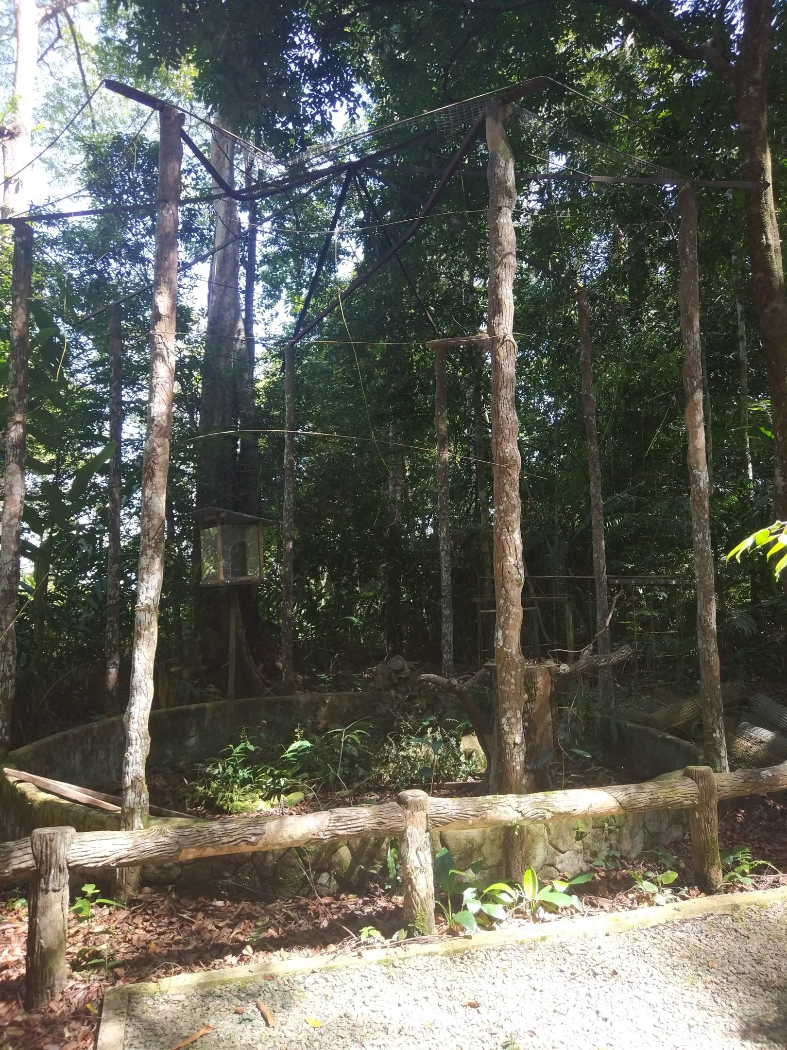 Rundown Enclosure - Tropical Garden