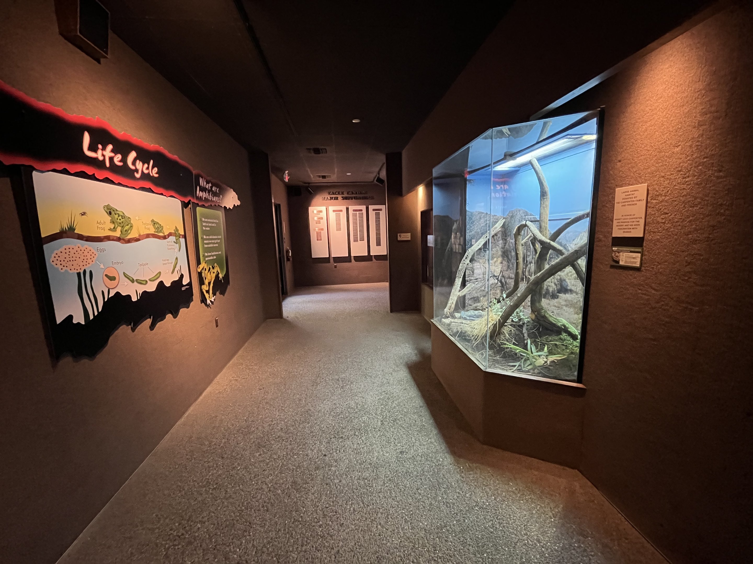 Rundown Herp Building