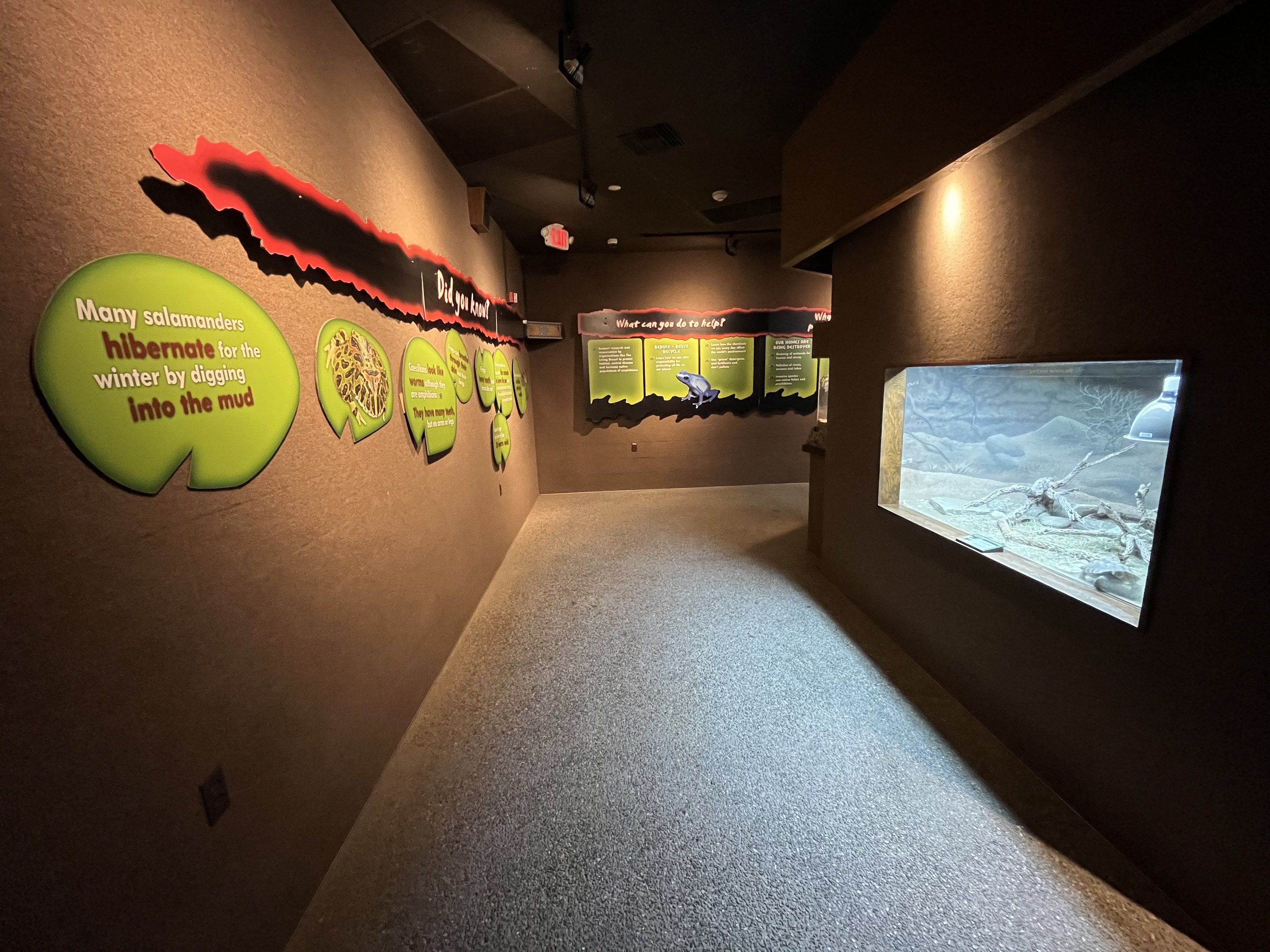 Rundown Herp Building