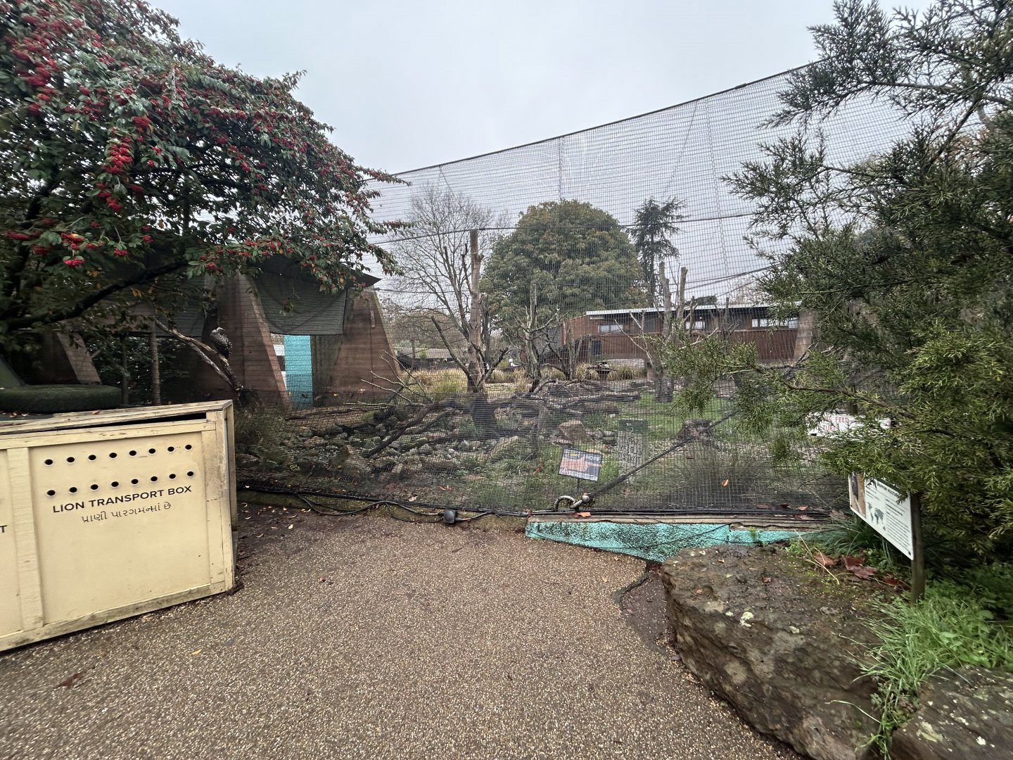 Ruppell’s Griffon Vulture Aviary - Land of the Lions