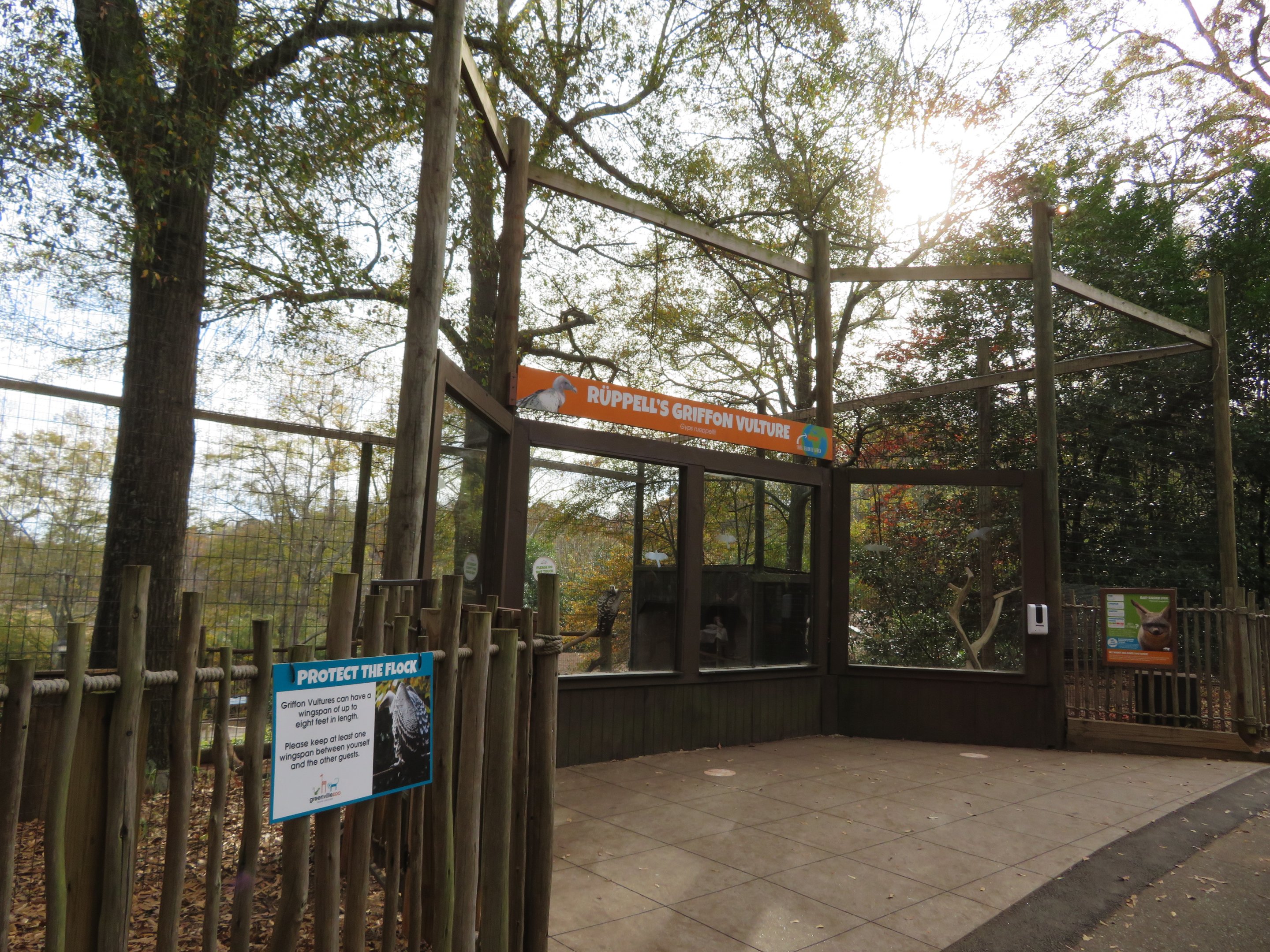 Rüppell's Griffon Vulture/Bat-eared Fox Exhibit