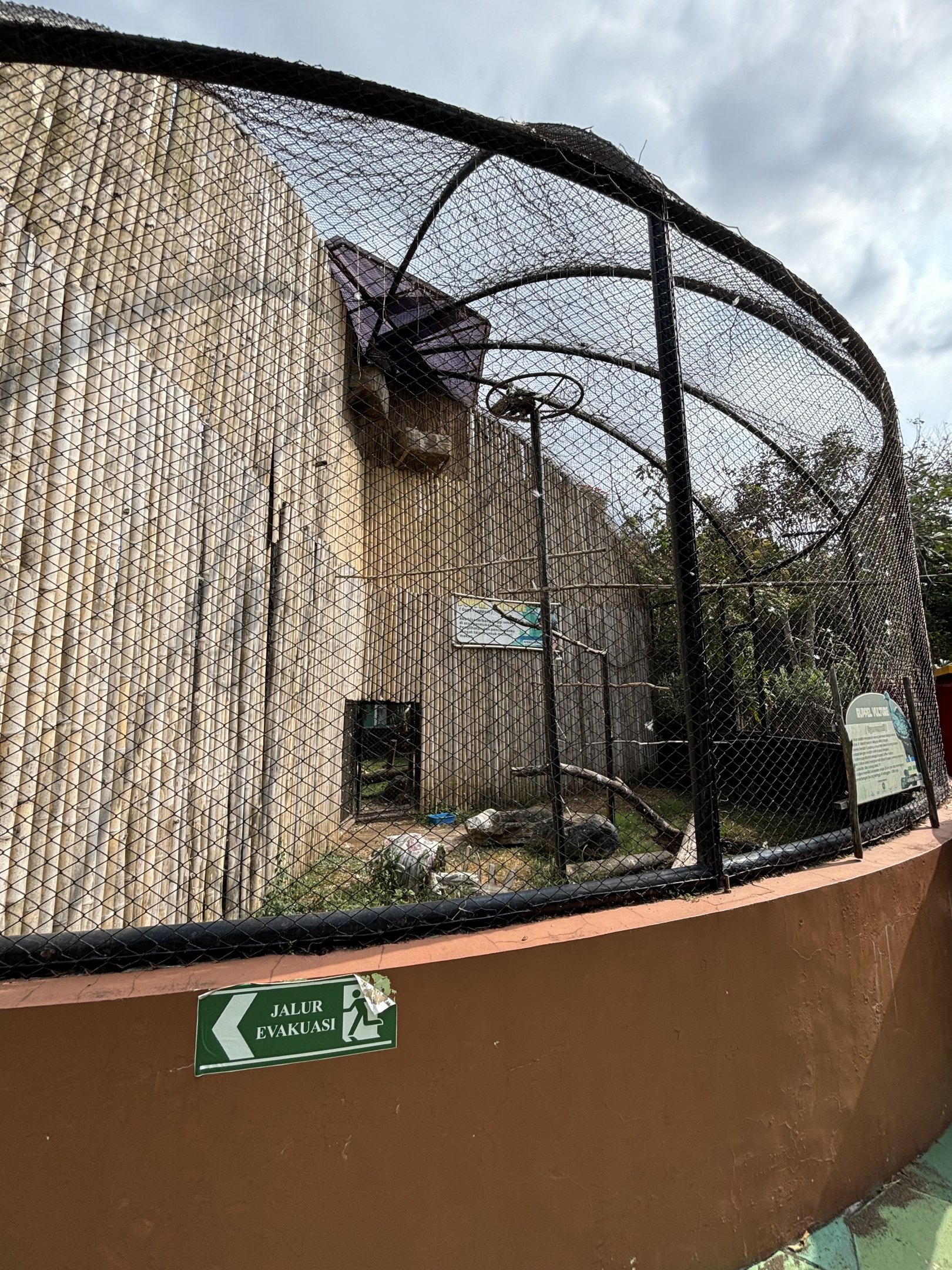 Ruppell’s Vulture Aviary