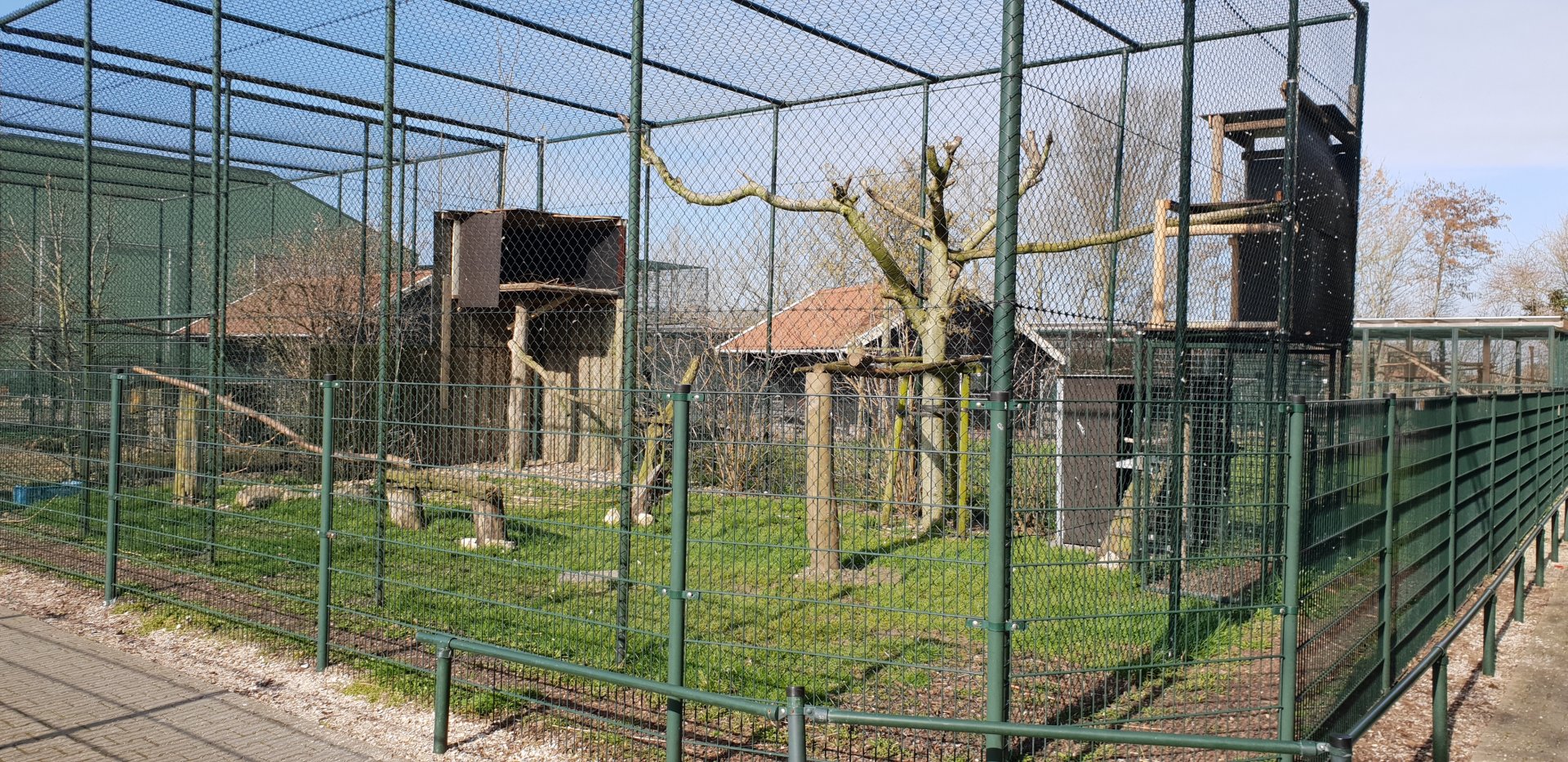 Rüppel's vulture-aviary
